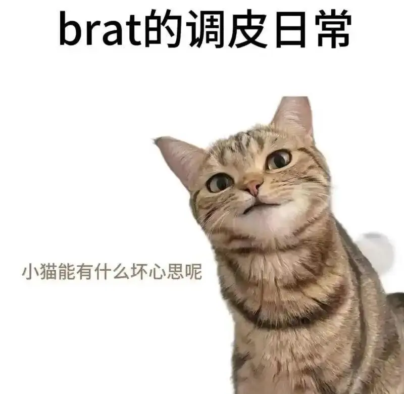 西檬之家斯慕圈新人入门指南 一