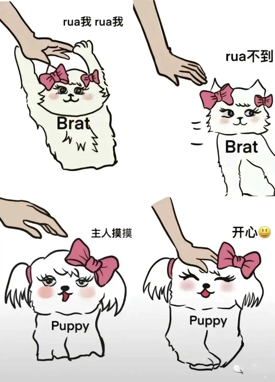 西檬之家字母圈的大圈是什么?新人入圈指南 一