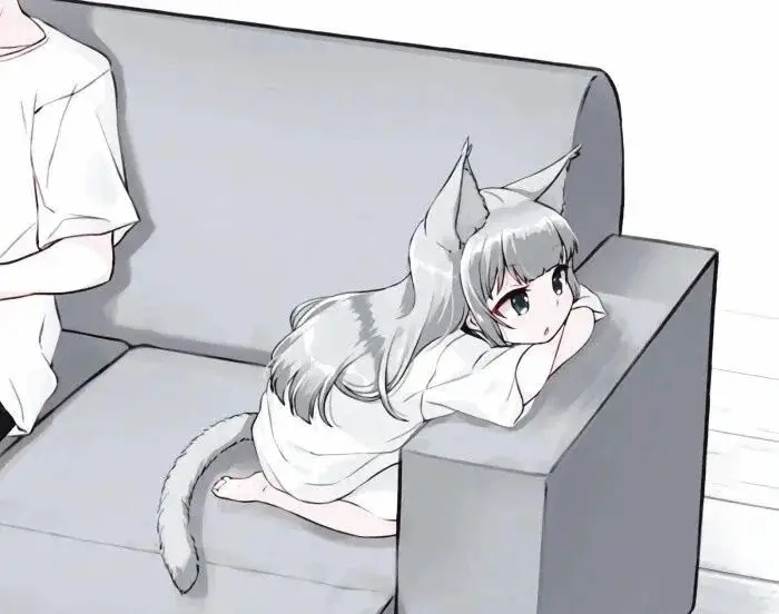 西檬之家k8是什么?揭秘字母圈猫系属性 一