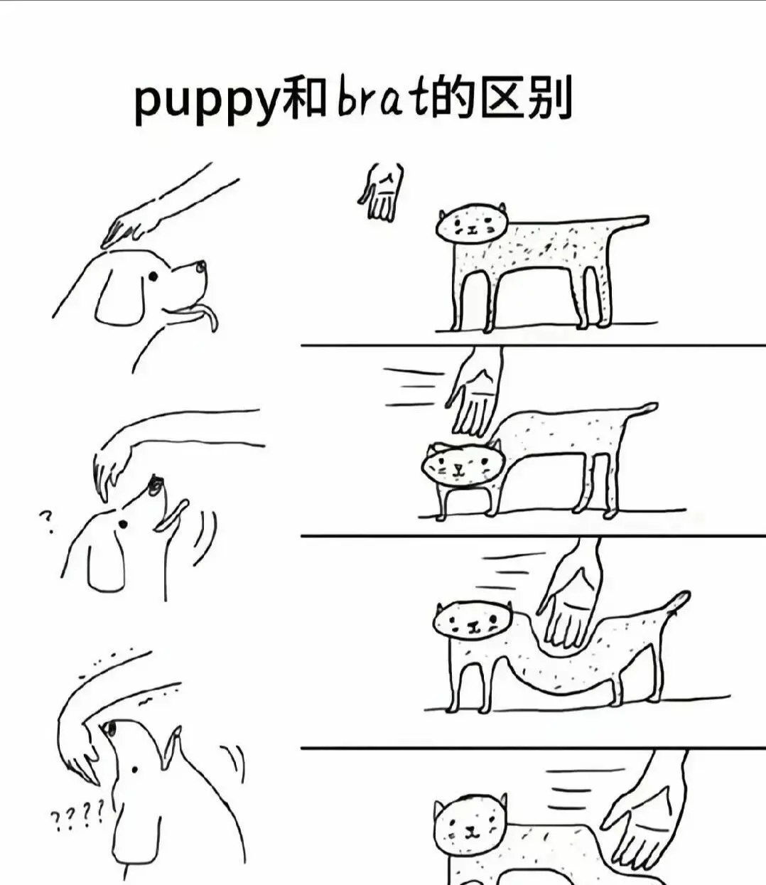 西檬之家管教是什么?字母圈新人必看 一