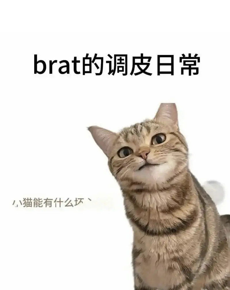 西檬之家字母圈的小圈是什么意思? 一