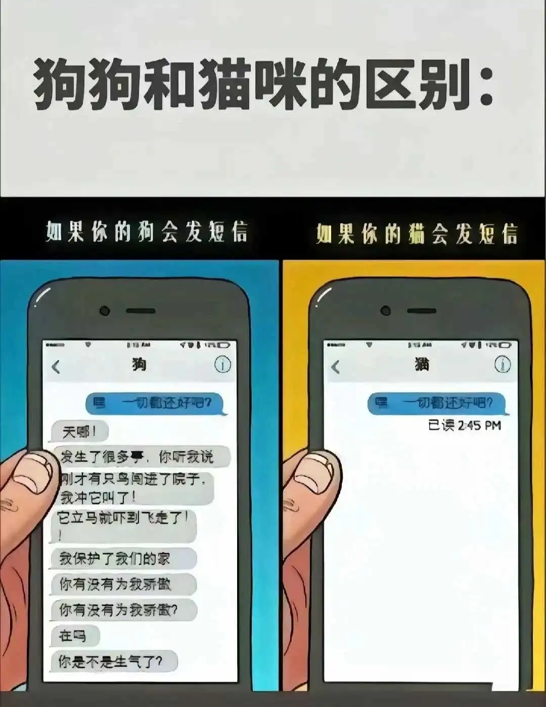 西檬之家斯慕圈是什么?字母圈新人入圈 一
