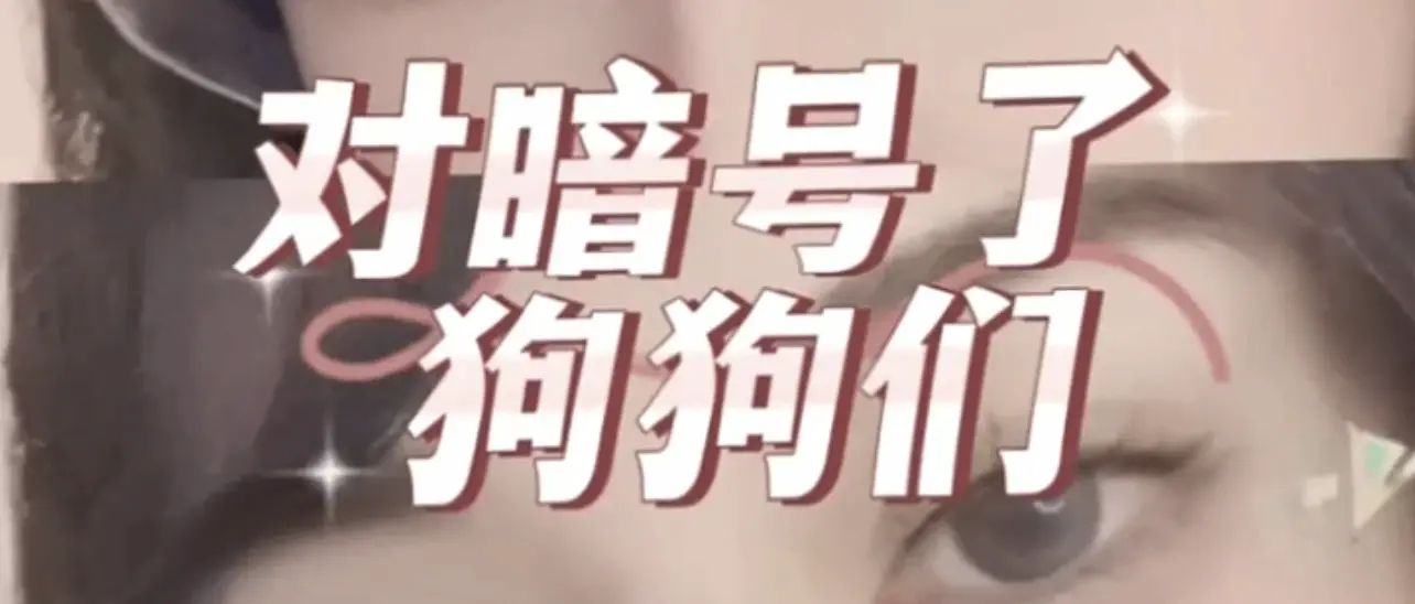 西檬之家Dirty Talk怎么用?字母圈新人必知 一