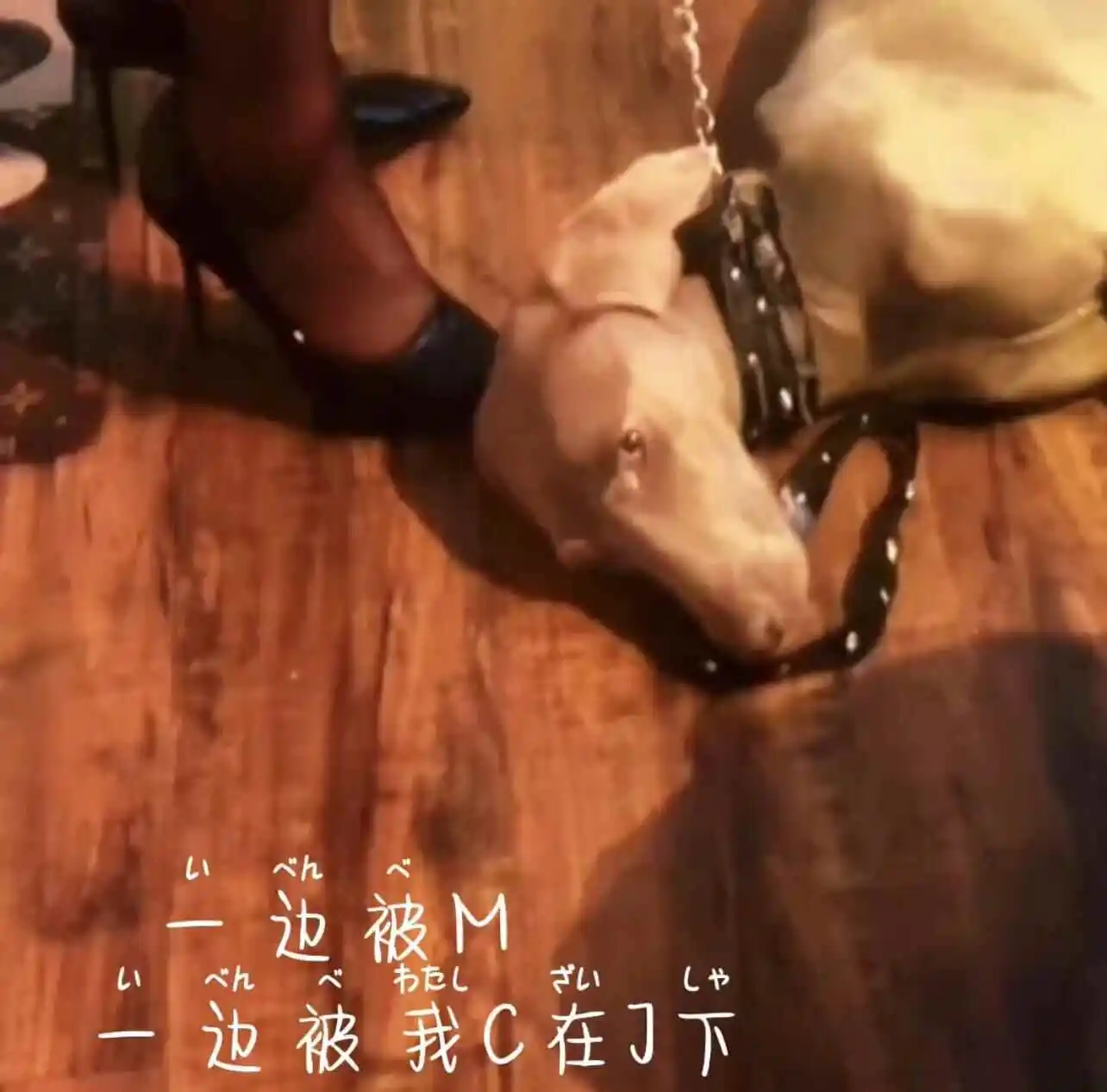 西檬之家如何建立健康的DS关系? 一