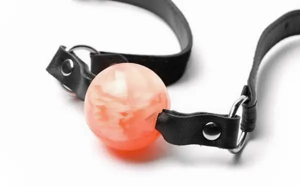 西檬之家K9是什么?字母圈新人科普 一